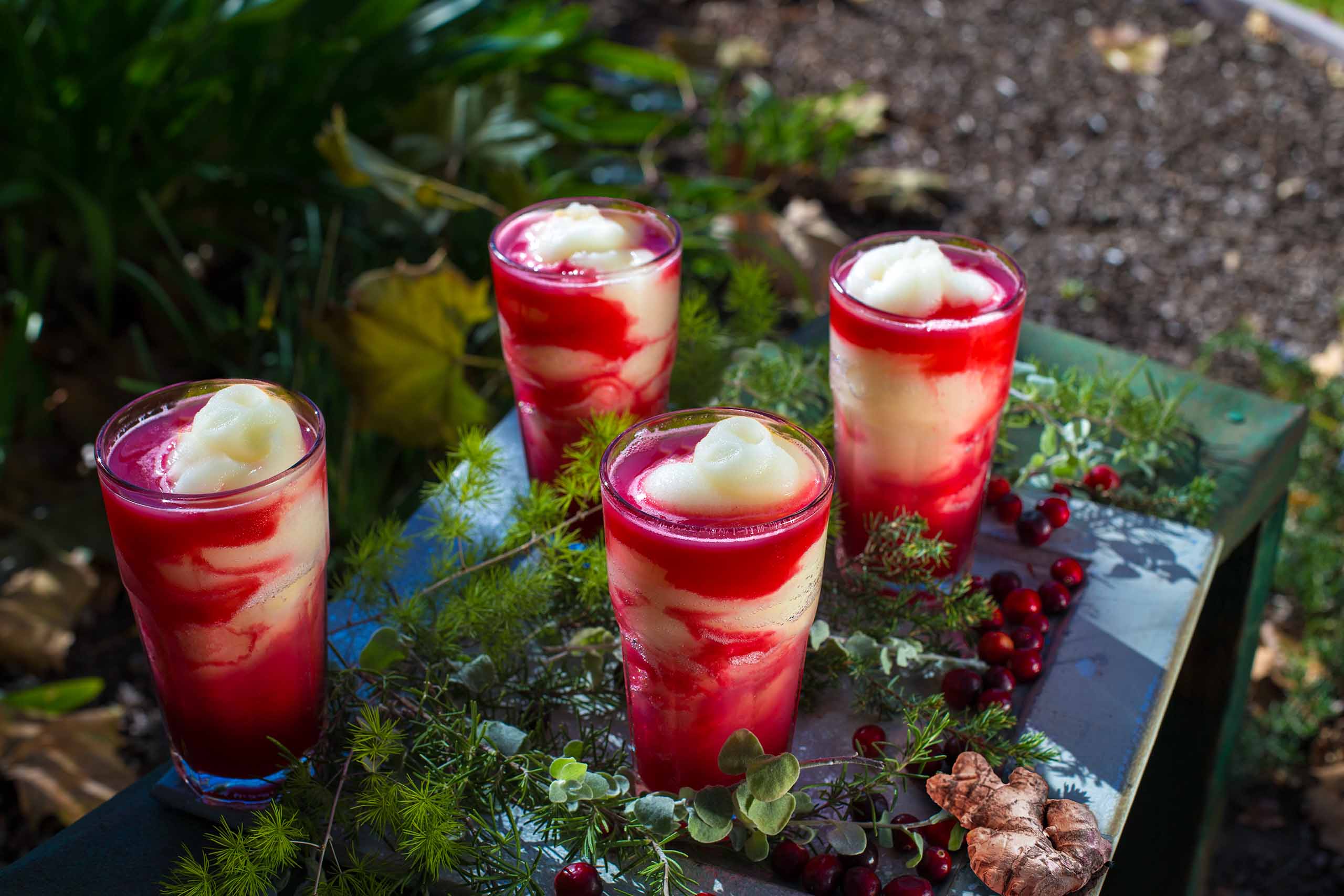 Cranberry Mexican Mule Swirl Photo