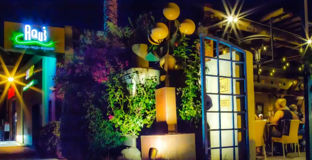 Aqui Willow Glen Patio