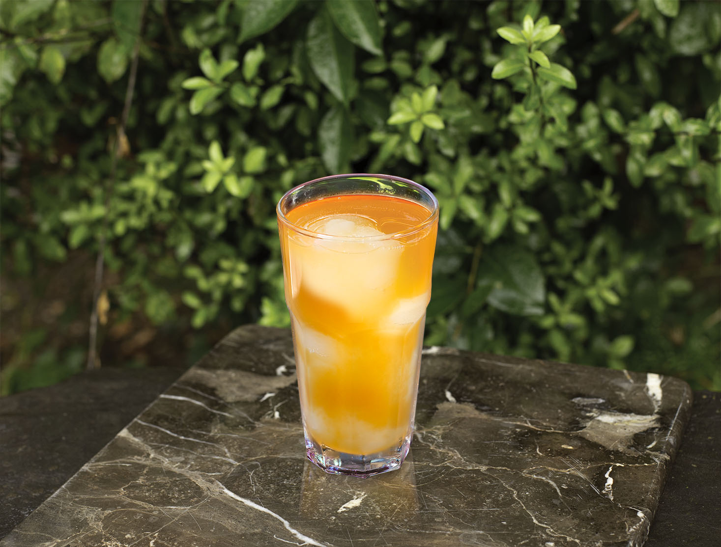 Paradise Patrón Swirl