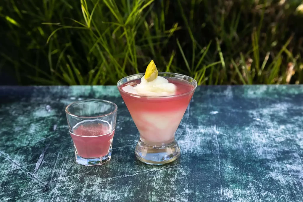 Prickly Pear Lemon Drop Martini Craft Swirl