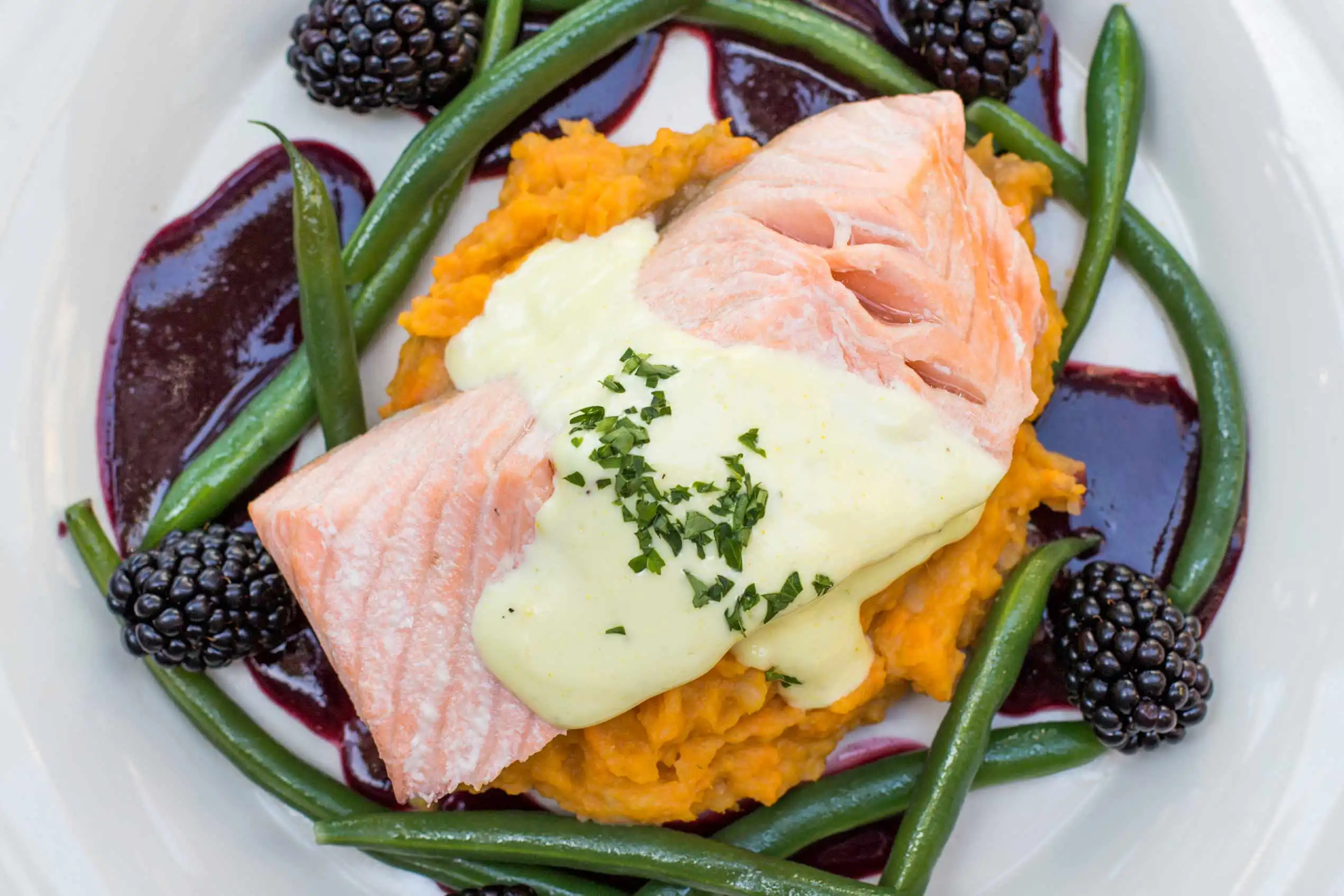 Sustainable Salmon