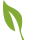 Vegetarian Icon