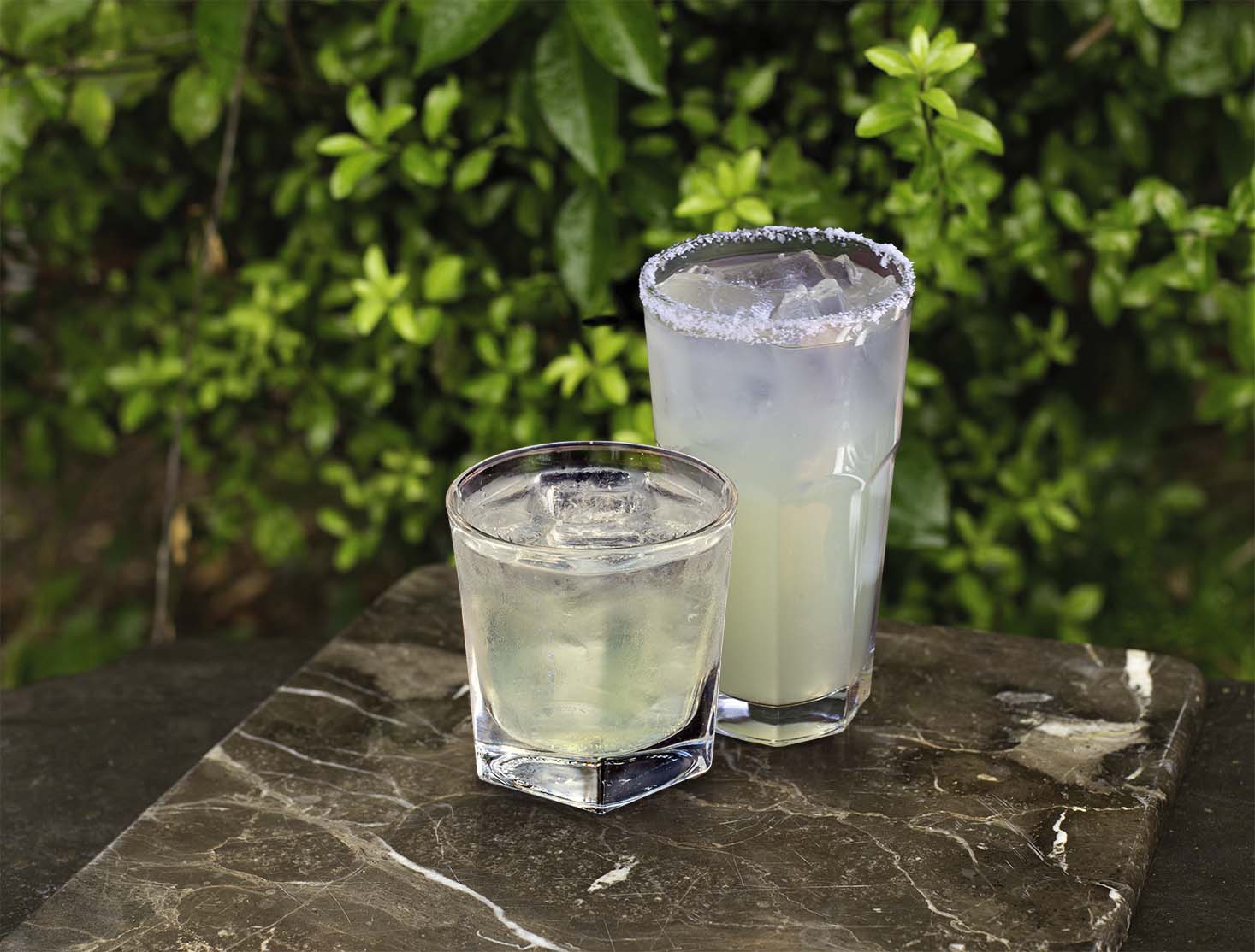 Hornitos Rocks 12 and 16oz